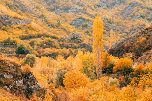 Preview: Ateni, Shida Kartli Region, Georgia. Beautiful Autumn Landscape
