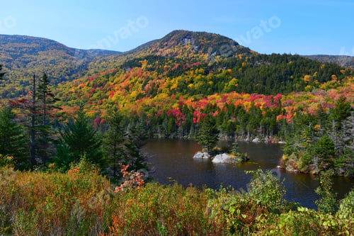 Preview: Autumn landscape