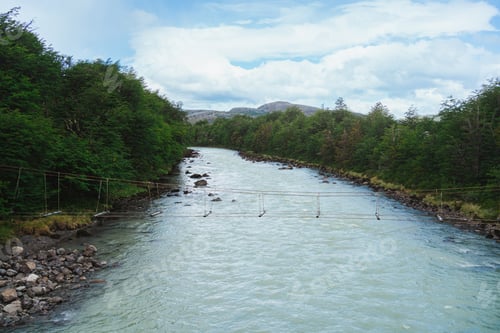 Preview: Bridge over a river surrounded by forest in Torres del Paine national park in Chile