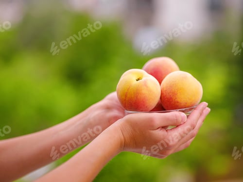 Preview: woman holding bowl of fresh peaches in her hands while standing in garden