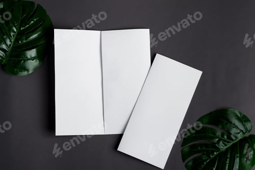 Preview: Paper mock-up brochures with natural tropical palm leaf