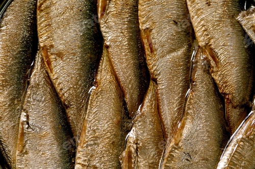 Preview: Open can with canned sprats in oil