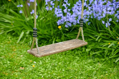 Preview: Garden in blue - Bluebell Scilla siberica,