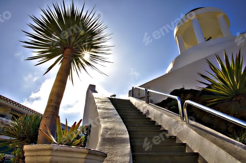 Preview: Palm tree and a staircase with the sun shining