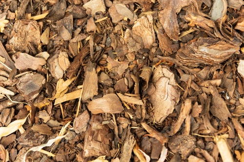 Preview: Top view of tree bark lying on the ground