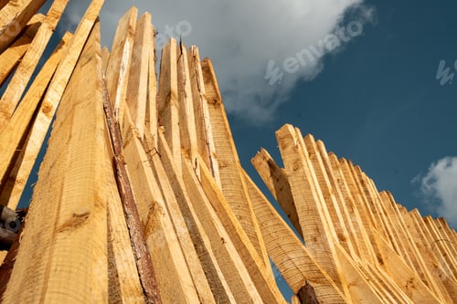 Preview: The piles of wood are placed to dry in Iringa region
