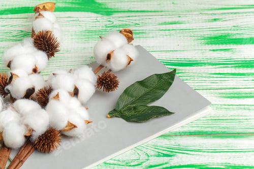 Preview: Blank notepad and cotton branch top view flat lay