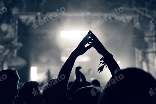 Preview: Crowd at a music concert with raising hands up, toned image