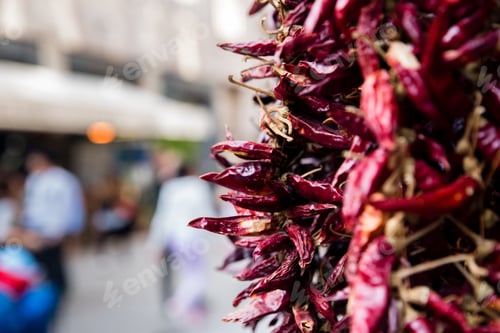 Preview: Garlands of red dried paprika pods in Budapest spice shop, Hungary with blur background