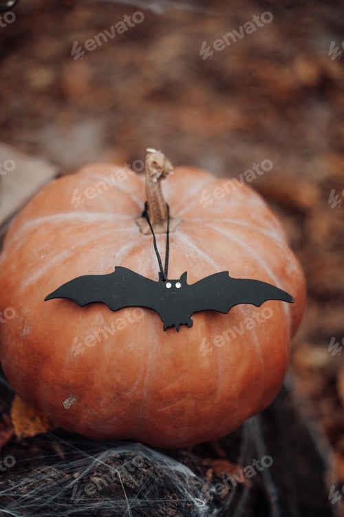 Preview: Holiday Halloween decor at beautiful earth tones maple leaves and trees in autumn season