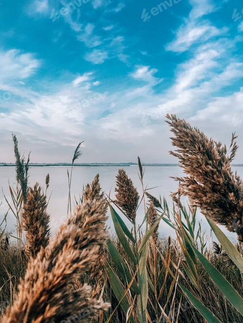 Preview: Beautiful blue sky over a lake