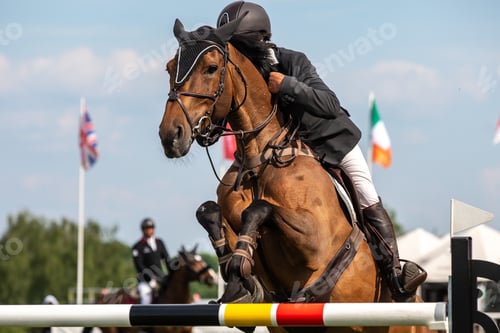 Preview: Horse Jumping, Equestrian Sports, Show Jumping themed photo.
