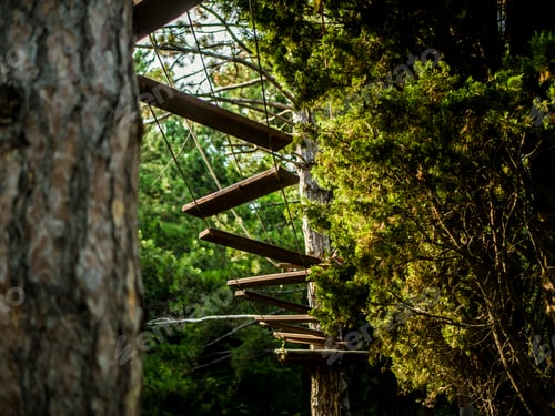Preview: rope bridge between the trees in park leisure activity holiday sport concept
