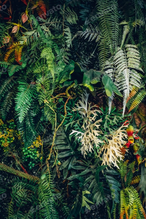 Preview: Close-up view of a group of tropical green leaves, textured and abstract background.