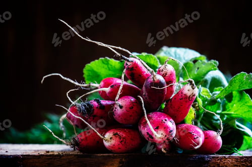 Preview: Bunch of dirty radishes with leaves, dug out of the ground