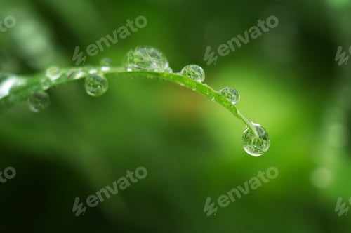Preview: Macro of raindrop