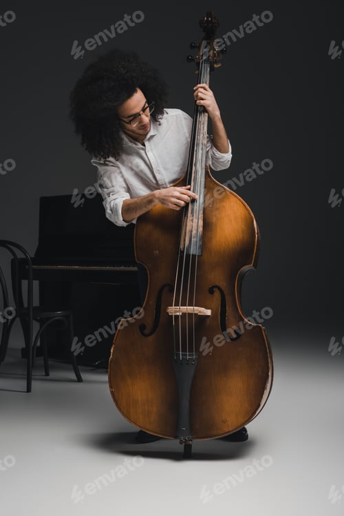 Preview: handsome young musician playing standup bass