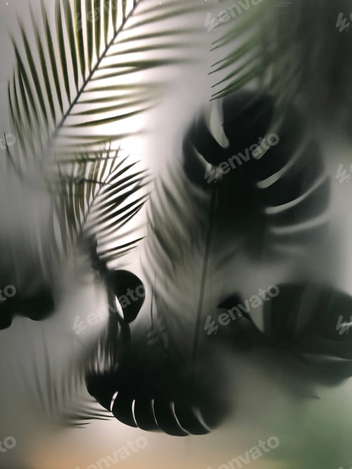 Preview: Monstera and palm tree leaves behind the matte glass, greenery and urban jungle background