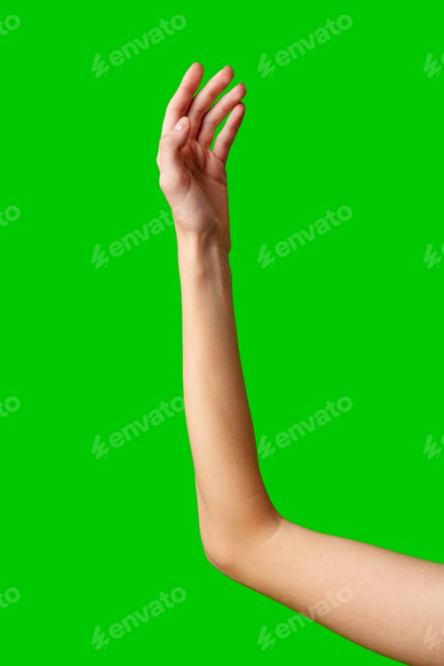 Preview: Hand Reaching Up on Green Background