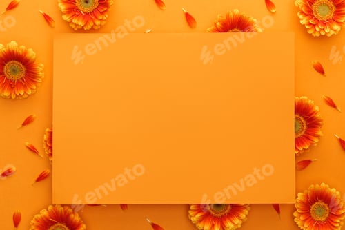 Preview: top view of gerbera flowers and empty card on orange background