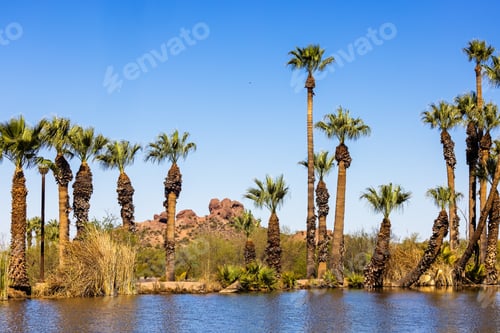 Vorschau: Teich im Papago Park - Tempe Arizona Vereinigte Staaten von Amerika