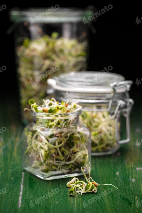 Preview: Sprouted seeds