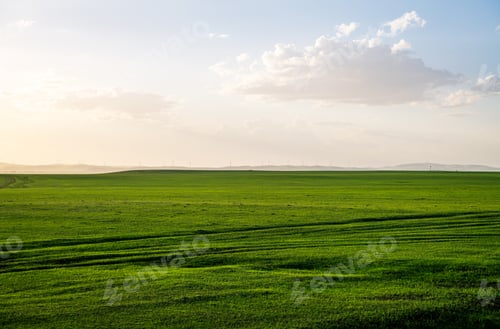 Preview: Aerial scenic view of the lush Ulagai grassland with sunny skyscape in Inner Mongolia, China