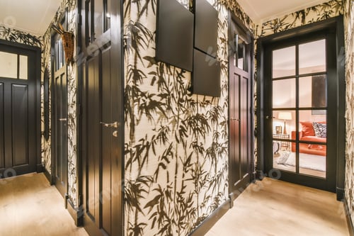 Preview: The entrance of the house in the form of a corridor