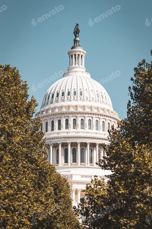 Preview: U.S. Capitol dome framed by trees in Washington D.C.