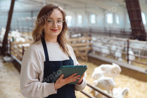 Preview: Woman Student working in Shed with Livestock, electronic Tablet in Hands