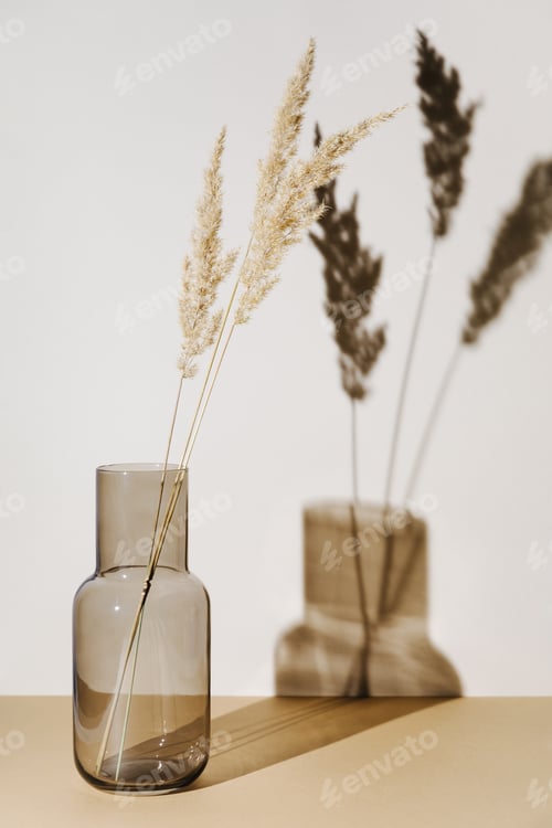 Preview: Pampas grass branches in vase on pastel neutral beige background with sun light and trendy shadow.
