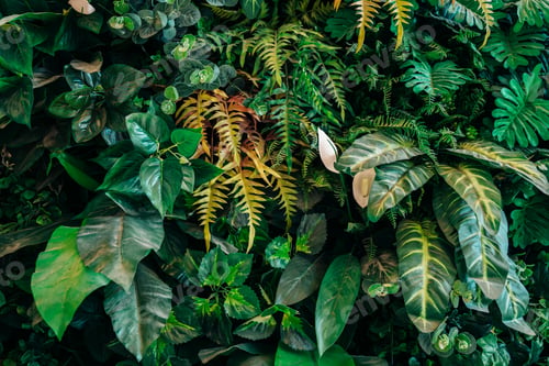Preview: Close up group of background tropical green leaves texture and abstract background.