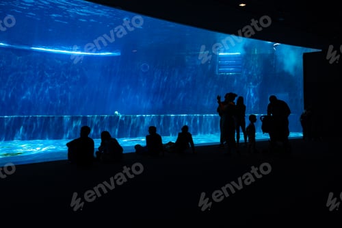Preview: Panorama with silhouettes of people watching in large aquarium, ecosystem and biodiversity,