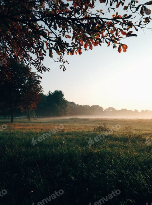 Preview: Morning fog