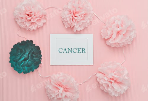 Preview: Text CANCER on white frame with symbolic healthy and sick flower bud on pink