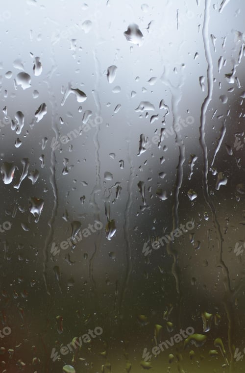 Preview: rain, raindrop, rainforest, raining