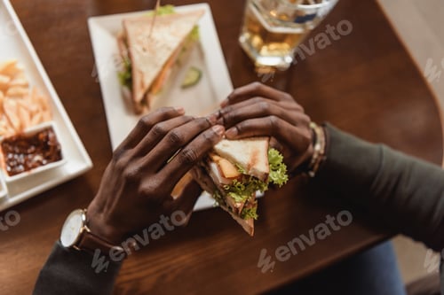 Preview: cropped image of african american man holding sandwich
