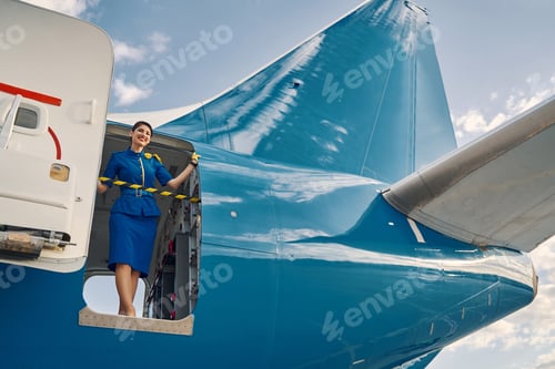 Preview: Joyous pretty dark-haired stewardess standing in the open aircraft doorway