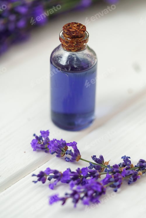 Preview: Herbal oil and lavender flowers on white wooden background