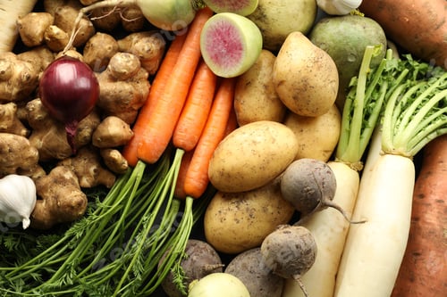 Preview: Different raw root vegetables as background, top view