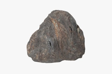 Замшевый валун в джунглях