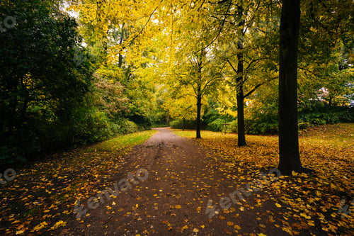 Preview: Autumn Color Along A Walkway At Ã?Â??Stre Anlã?Â?Ã?¦G, In Copenhagen, Denmark.