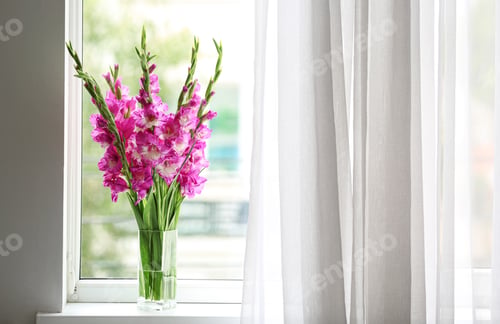 Preview: Vase with beautiful pink gladiolus flowers on windowsill, space for text