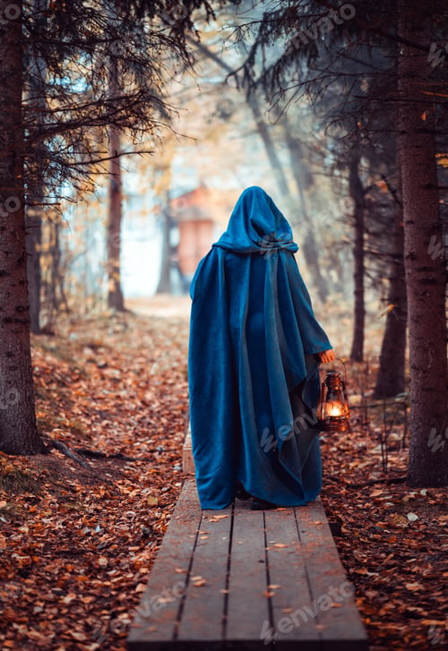 Preview: A person in a blue cloak with a kerosene lamp goes into the depths of the thicket