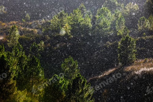Preview: Trees growing near wonderful mountain range in a snowy day