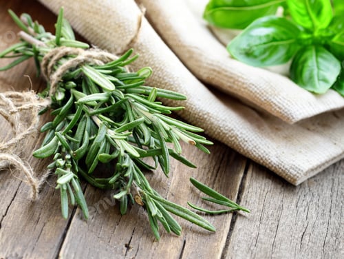 Preview: fresh organic rosemary herb on wooden table