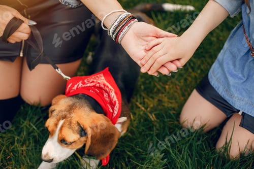 Vista previa: Cute and stylish family in a spring park