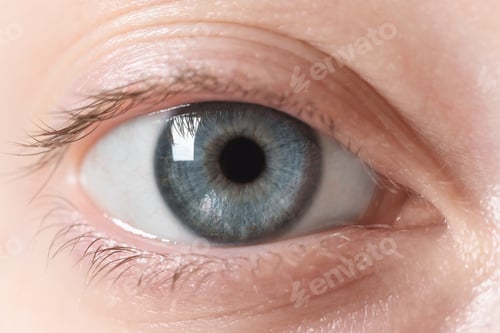 Preview: Macro photo of woman with beautiful eyes