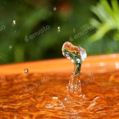 Preview: Photograph Of An Unusual Raindrop Splash In A Clay Saucer With Greenery In The Background