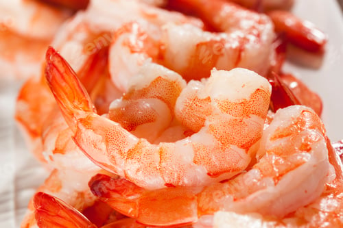 Preview: Fresh Organic Shrimp Cocktail